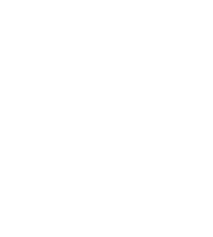 Maas installatie logo